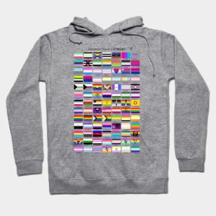 lgbtqia+ pride flags in Spanish Hoodie